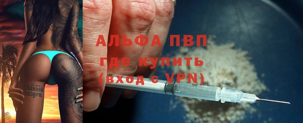 PSILOCYBIN Горно-Алтайск