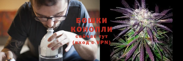 ПСИЛОЦИБИНОВЫЕ ГРИБЫ Гусиноозёрск