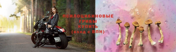 ПСИЛОЦИБИНОВЫЕ ГРИБЫ Гусиноозёрск