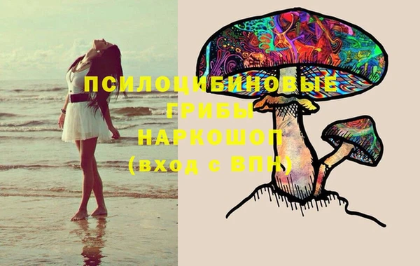 стафф Пестово