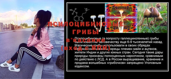 PSILOCYBIN Горно-Алтайск