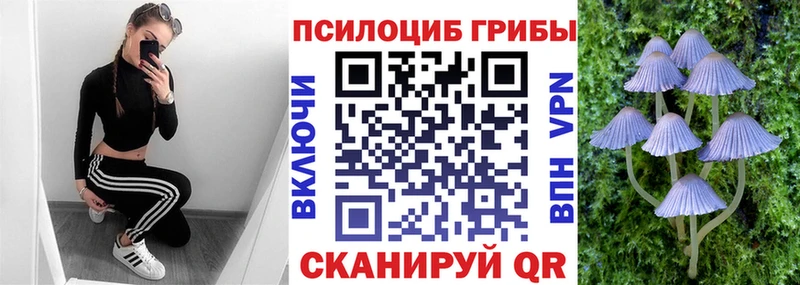 Галлюциногенные грибы MAGIC MUSHROOMS  Новодвинск 